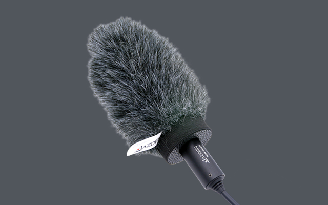 SWS-100/SWS-200 Features | AZDEN CORPORATION